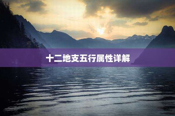 十二地支五行属性详解