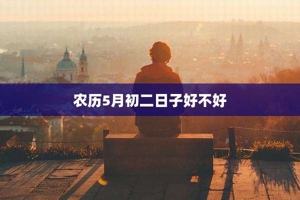 农历5月初二日子好不好