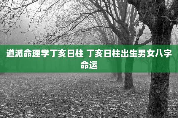 道派命理学丁亥日柱 丁亥日柱出生男女八字命运
