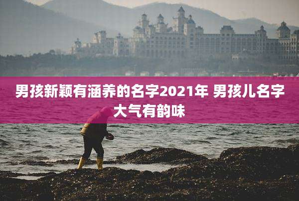 男孩新颖有涵养的名字2021年 男孩儿名字大气有韵味