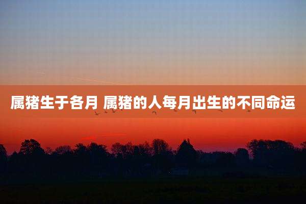属猪生于各月 属猪的人每月出生的不同命运