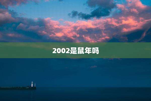 2002是鼠年吗