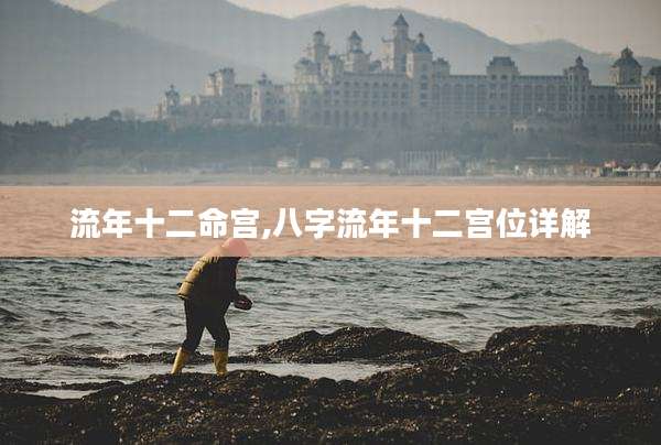 流年十二命宫,八字流年十二宫位详解