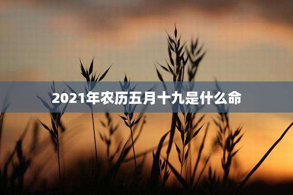 2021年农历五月十九是什么命
