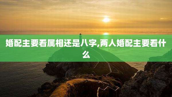 婚配主要看属相还是八字,两人婚配主要看什么