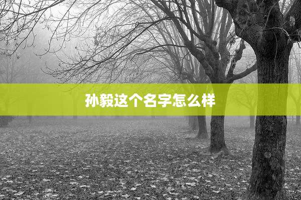 孙毅这个名字怎么样