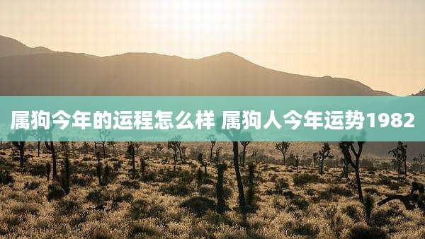 属狗今年的运程怎么样 属狗人今年运势1982