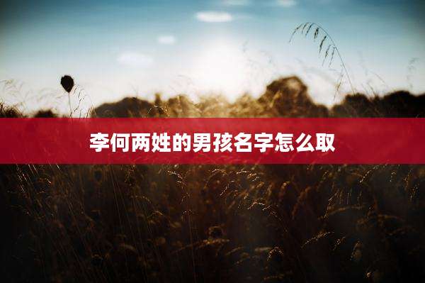 李何两姓的男孩名字怎么取