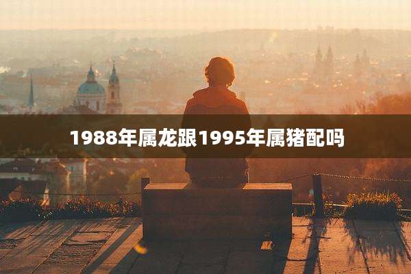 1988年属龙跟1995年属猪配吗