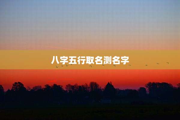 八字五行取名测名字