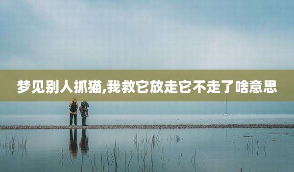 梦见别人抓猫,我救它放走它不走了啥意思