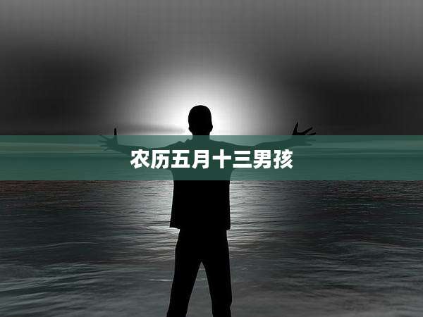 农历五月十三男孩