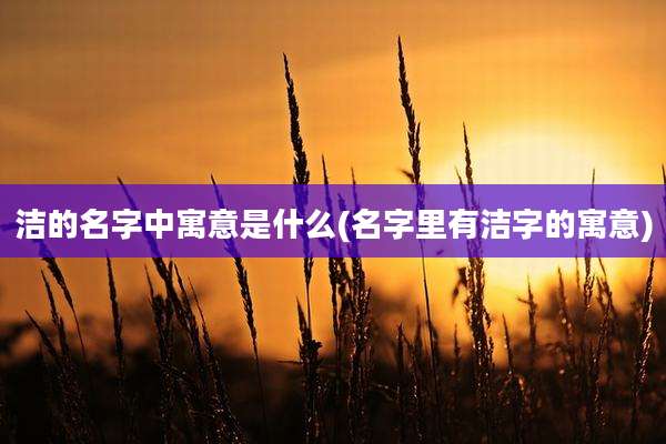 洁的名字中寓意是什么(名字里有洁字的寓意)