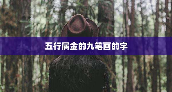 五行属金的九笔画的字