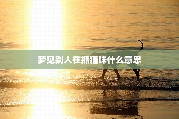 梦见别人在抓猫咪什么意思
