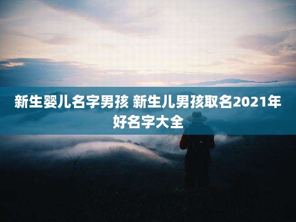 新生婴儿名字男孩 新生儿男孩取名2021年好名字大全