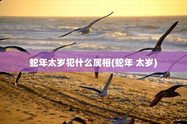 蛇年太岁犯什么属相(蛇年 太岁)