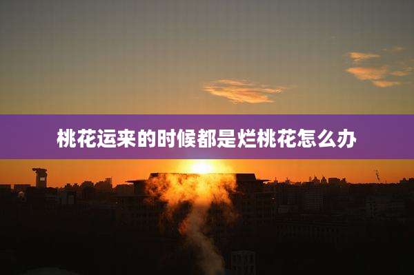 桃花运来的时候都是烂桃花怎么办