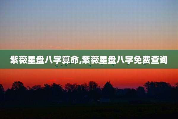 紫薇星盘八字算命,紫薇星盘八字免费查询