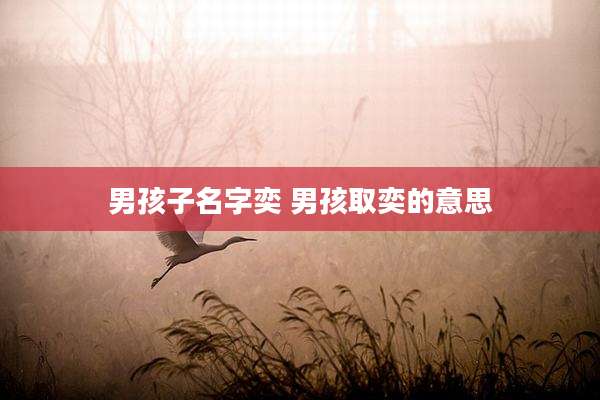 男孩子名字奕 男孩取奕的意思
