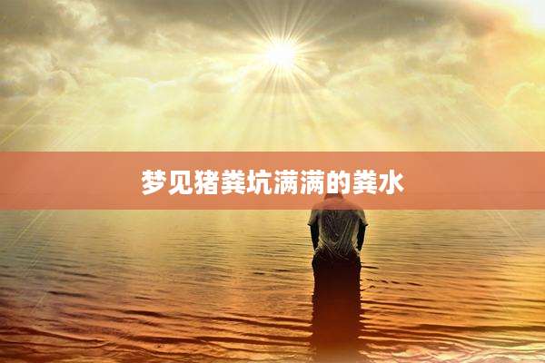 梦见猪粪坑满满的粪水