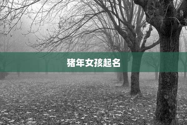 猪年女孩起名