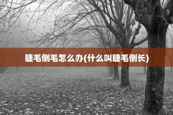 睫毛倒毛怎么办(什么叫睫毛倒长)