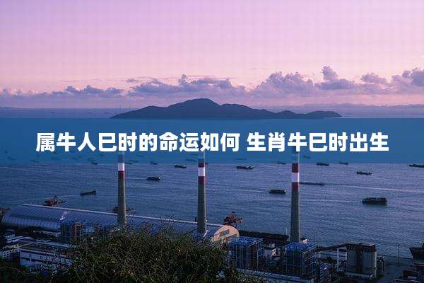 属牛人巳时的命运如何 生肖牛巳时出生