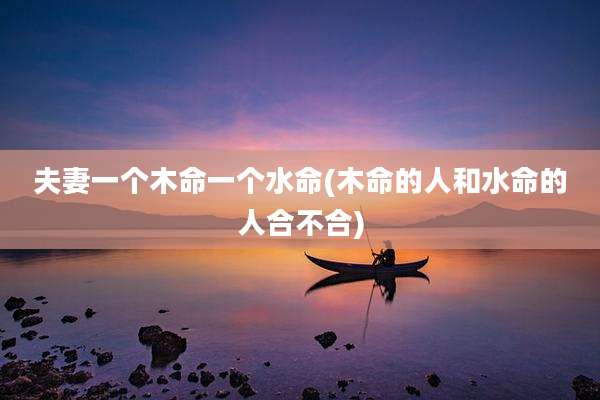 夫妻一个木命一个水命(木命的人和水命的人合不合)