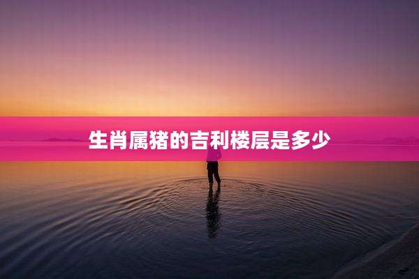 生肖属猪的吉利楼层是多少