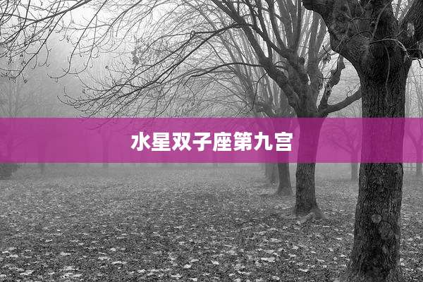 水星双子座第九宫