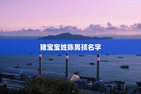 猪宝宝姓陈男孩名字