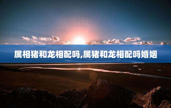 属相猪和龙相配吗,属猪和龙相配吗婚姻