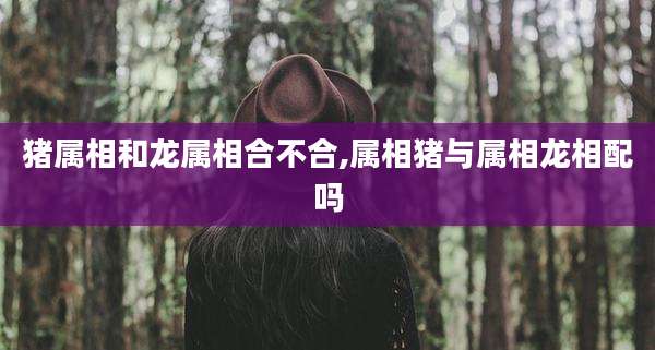 猪属相和龙属相合不合,属相猪与属相龙相配吗