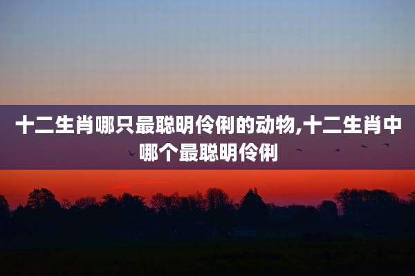 十二生肖哪只最聪明伶俐的动物,十二生肖中哪个最聪明伶俐