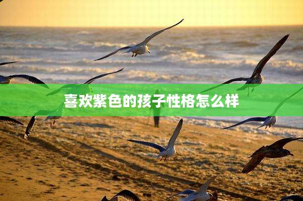 喜欢紫色的孩子性格怎么样