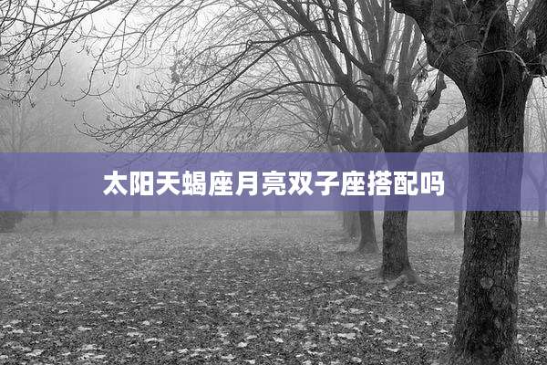 太阳天蝎座月亮双子座搭配吗