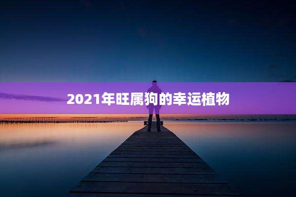 2021年旺属狗的幸运植物