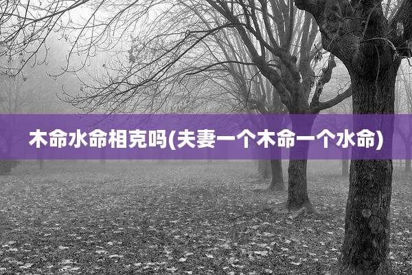 木命水命相克吗(夫妻一个木命一个水命)