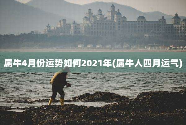 属牛4月份运势如何2021年(属牛人四月运气)