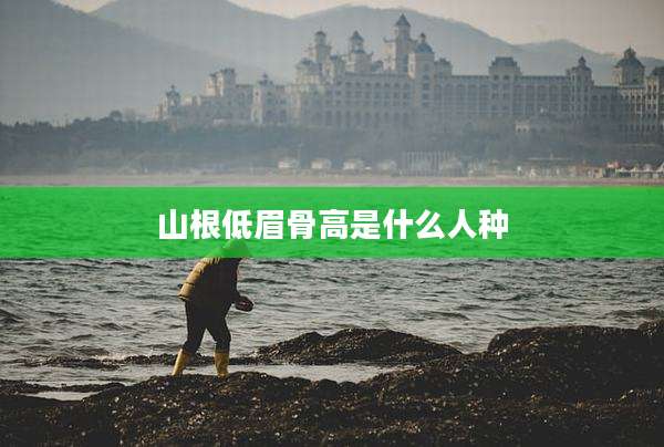 山根低眉骨高是什么人种
