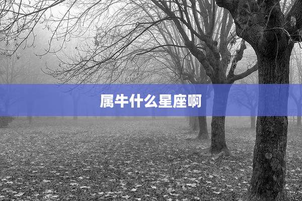 属牛什么星座啊