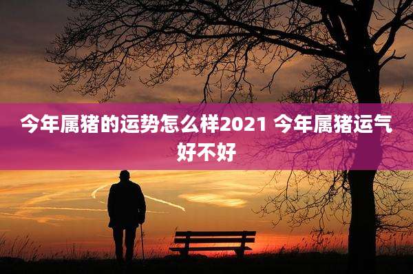今年属猪的运势怎么样2021 今年属猪运气好不好