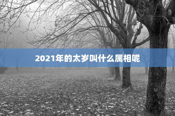 2021年的太岁叫什么属相呢