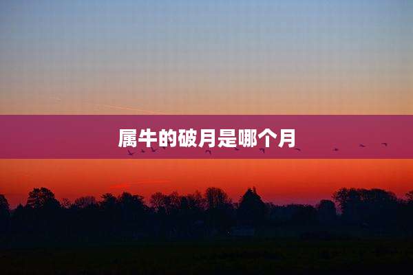 属牛的破月是哪个月