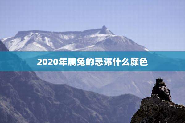 2020年属兔的忌讳什么颜色