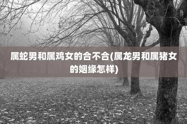 属蛇男和属鸡女的合不合(属龙男和属猪女的姻缘怎样)