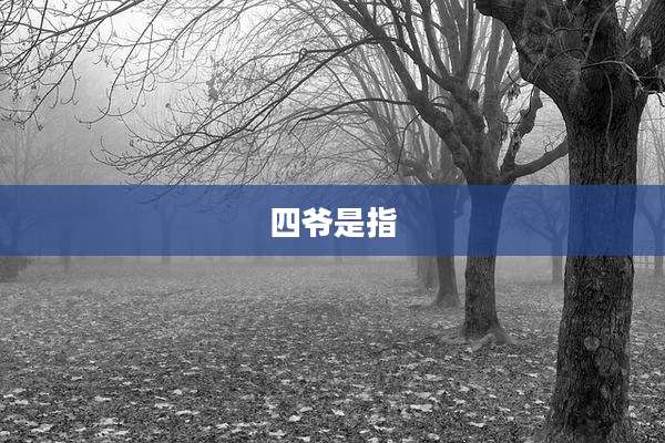 四爷是指