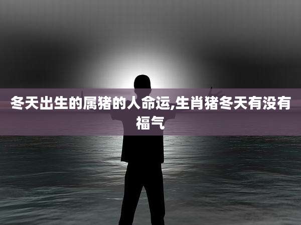 冬天出生的属猪的人命运,生肖猪冬天有没有福气