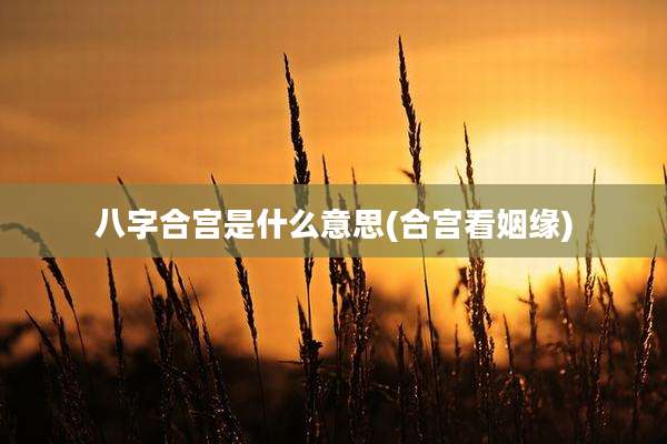 八字合宫是什么意思(合宫看姻缘)